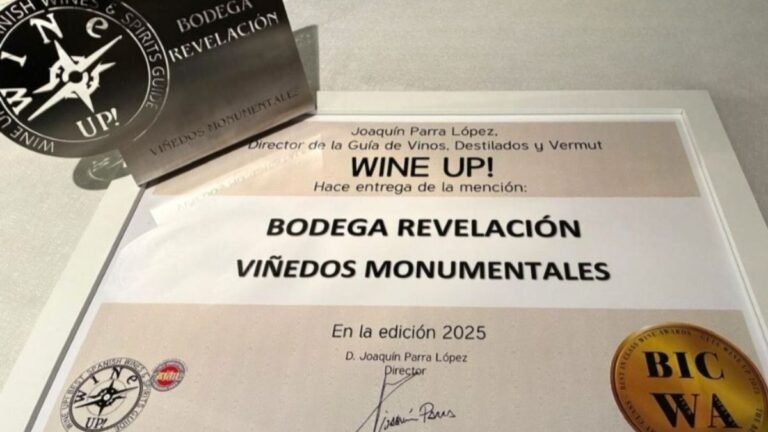 Viñedos Monumentales, Bodega Revelación 2026 en los Best in Class Wine Awards