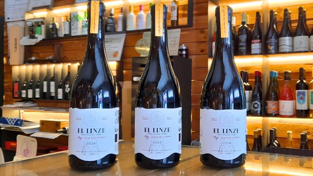 el linze tinto velasco syrah 2024
