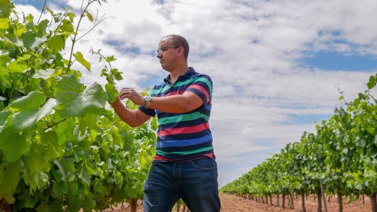 Adrián de Pablo, el enólogo que define el estilo de Hacienda Albae desde el viñedo