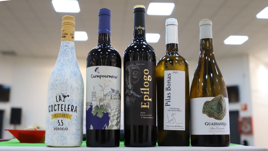 vinos catados en la cata solidaria alma del vino manzanares 2026