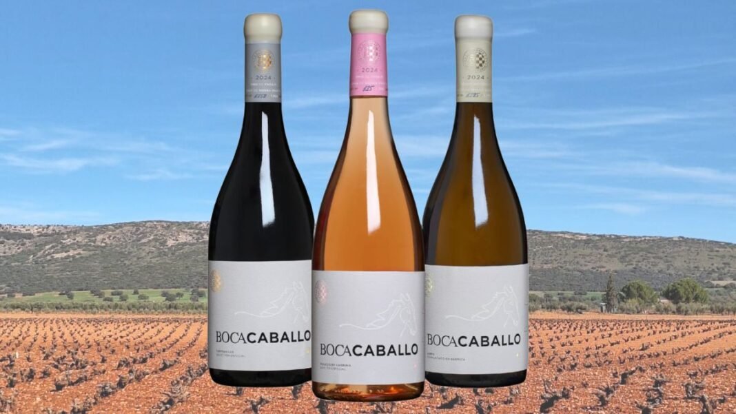 cata-vino-bocacaballo-valdepenas-jovenes-amigos-del-vino