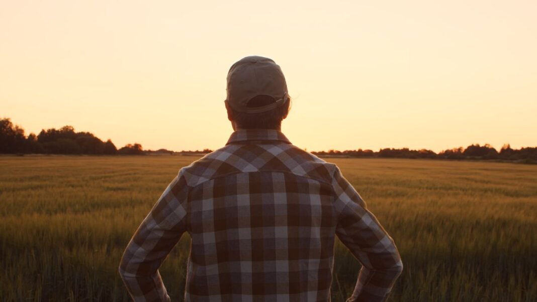 datos-economicos-sociales-y-de-produccion-de-las-cooperativas-agroalimentarias-de-castilla-la-mancha