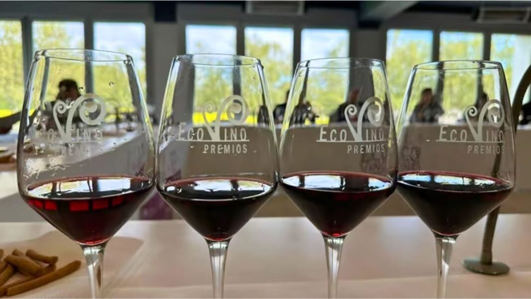 mejores-vinos-ecologicos-premios-ecovino-2026