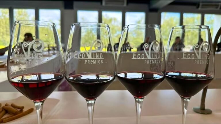 mejores-vinos-ecologicos-premios-ecovino-2026