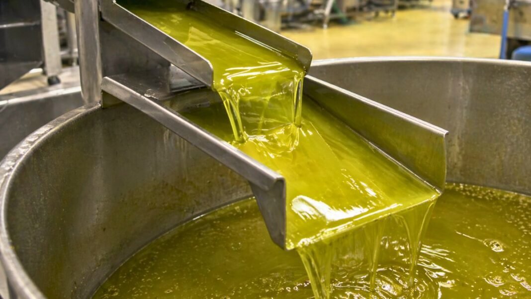 producción de aceite de oliva en castilla-la mancha