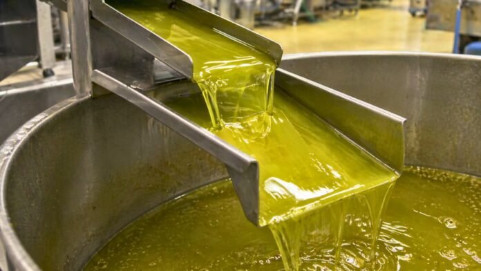 producción de aceite de oliva en castilla-la mancha