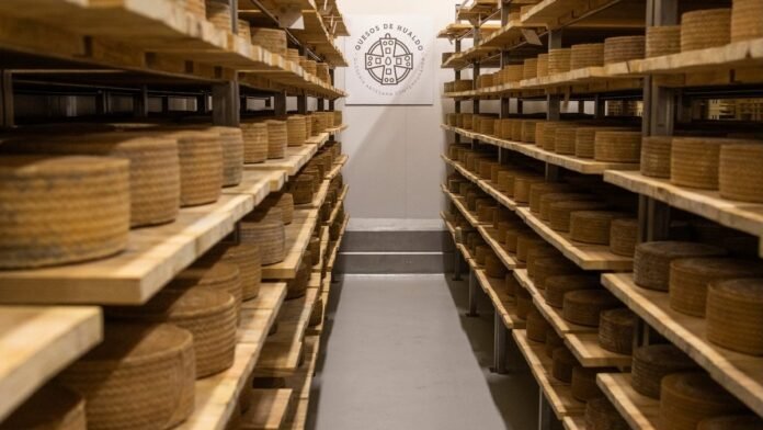 Quesos de Hualdo Curado Premios Gran Selección Campo y Alma DOP Queso Manchego