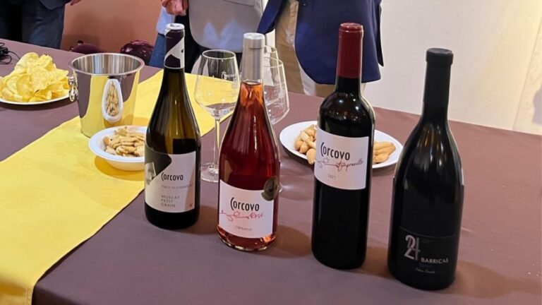 cata corcovo jovenes amigos del vino valdepeñas