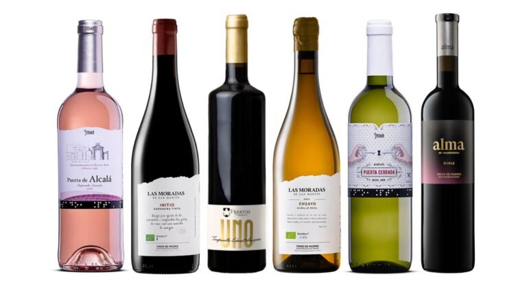 los mejores vinos de madrid 2026