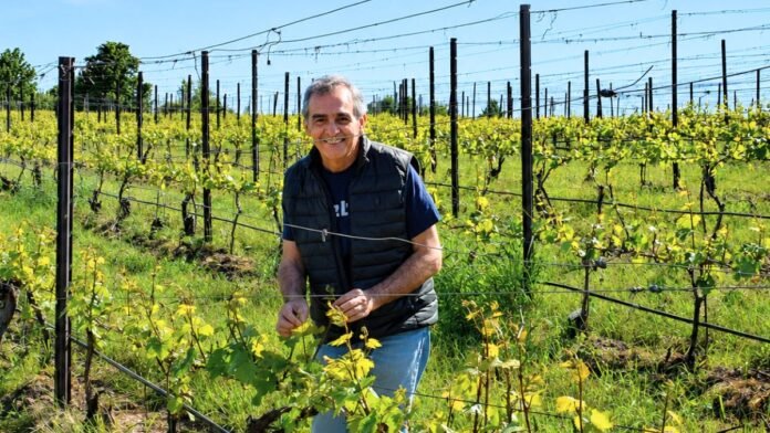 casimiro sanz bodega dominio de maestrazgo