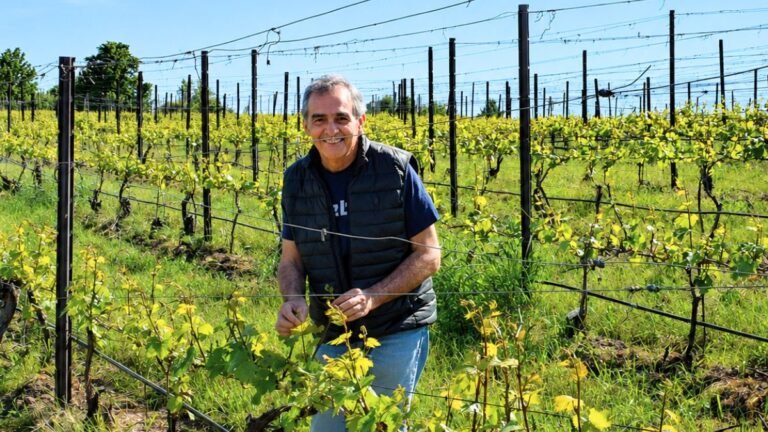 casimiro sanz bodega dominio de maestrazgo