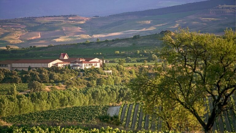 Familia Martínez Bujanda mira al cielo: vino y enoturismo en el año del gran eclipse