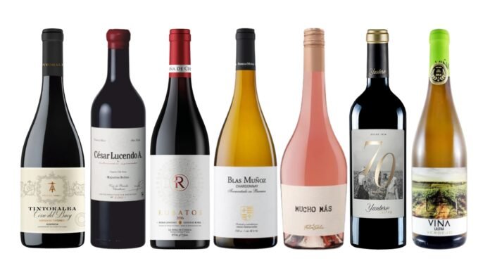los vinos más vendidos castilla la mancha junio julio 2026
