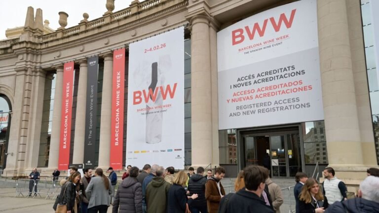 Barcelona Wine Week 2027 sitúa a los vinos de guarda en el centro de su propuesta