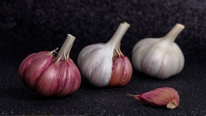 finalistas concurso cocina ajo morado de las pedroñeras