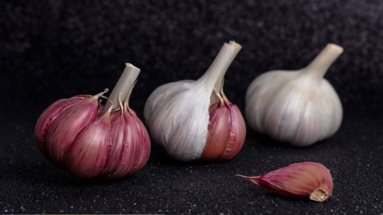 finalistas concurso cocina ajo morado de las pedroñeras