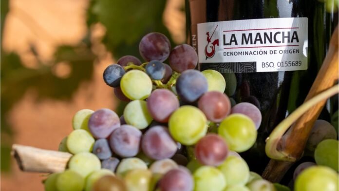 previsiones vendimia do la mancha 2026