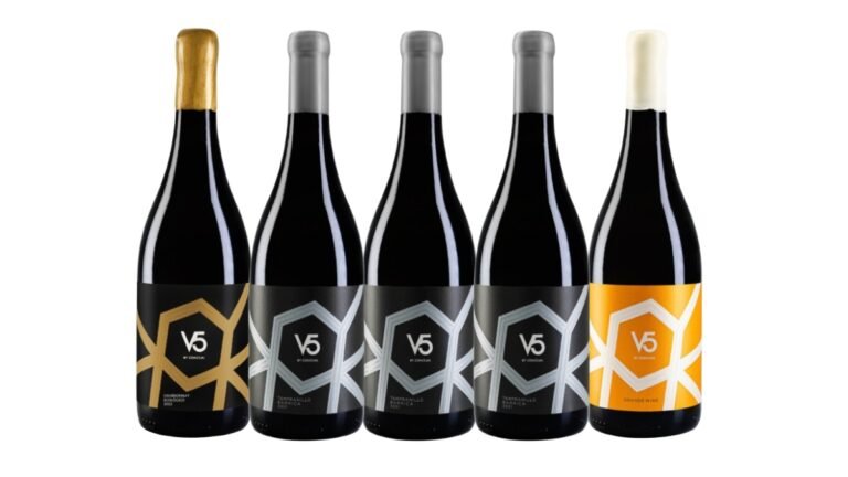 vinos v5 by concejal de vinícola de valdepeñas