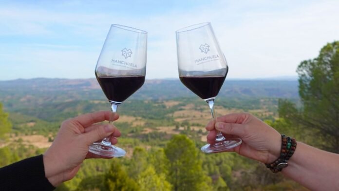 copas vino do manchuela