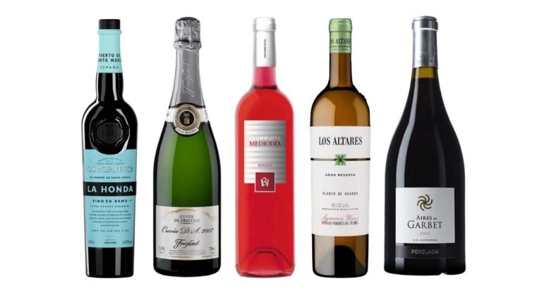 los mejores vinos con denominación de origen de españa 2026