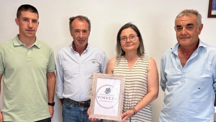 proyecto bebida vinveza