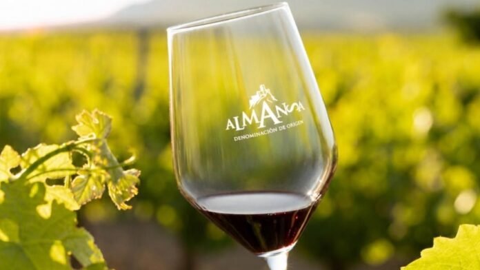 Ruta del Vino Almansa: nuevas experiencias y paquetes turísticos