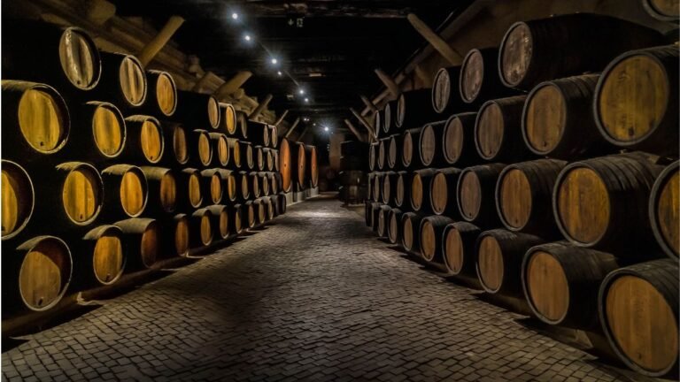 Túnel del Vino de Valdepeñas 2026: fechas, entradas y programación del 25 aniversario