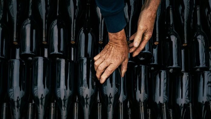 Selección de botellas de vino en una bodega