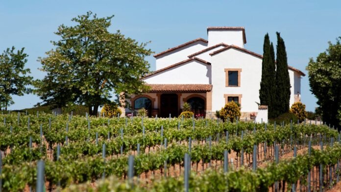 bodegas artesanas de castilla-la mancha