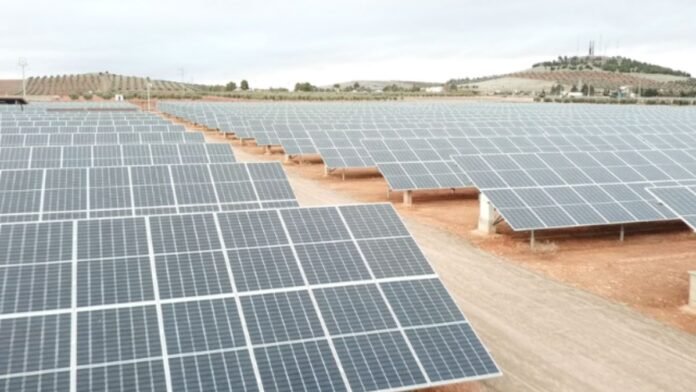 huerto solar de la bodega félix solís en valdepeñas
