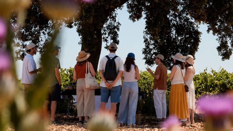 rebusca-uva-experiencia-finca-antigua