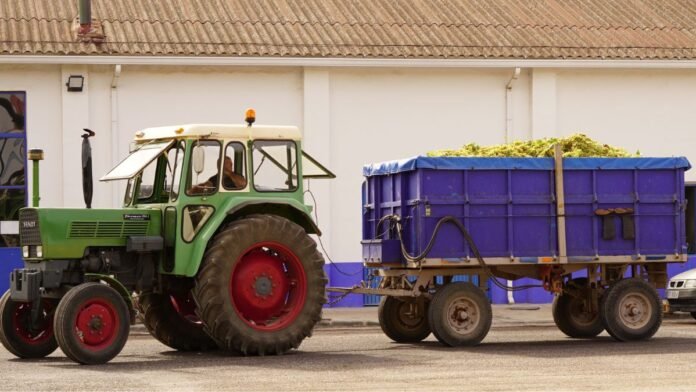 tractor descarga Vendimia de uva Airén en la DO La Mancha
