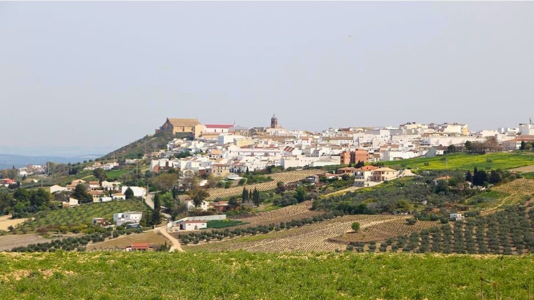 Montilla Ciudad Española del Vino 2027