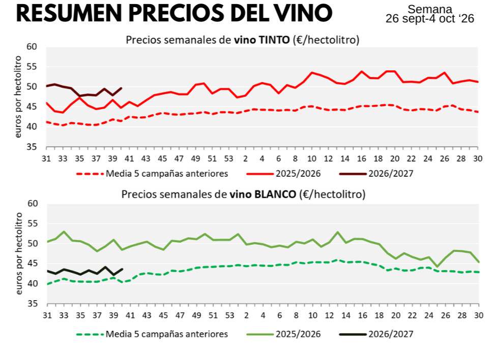precio del vino en España 2026