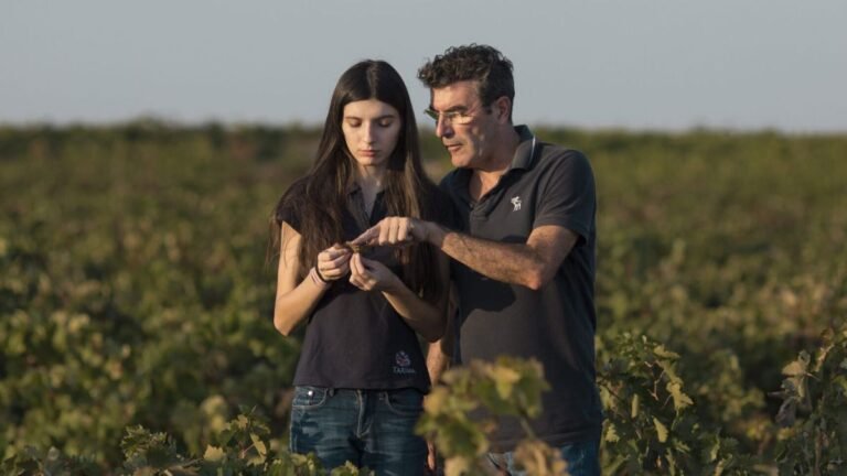 La uva giró lleva al vino Sofía Cañizares 2025 hasta los 95 puntos en Decanter