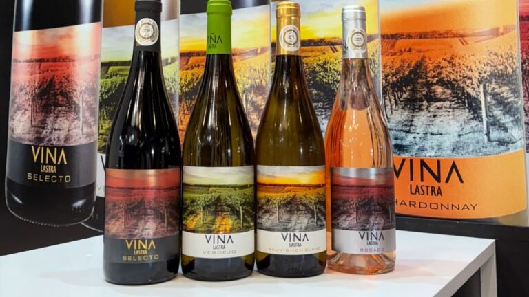 vinos gama viña lastra fernando castro